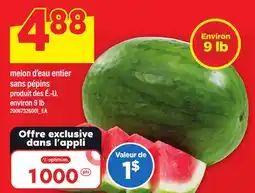 Maxi MELON D'EAU ENTIER SANS PÉPINS offer