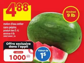 Maxi MELON D'EAU ENTIER SANS PÉPINS offer