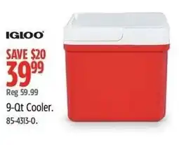 Canadian Tire Igloo cooler offer