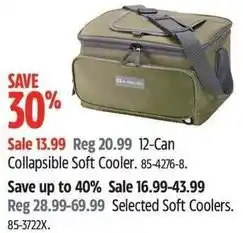 Canadian Tire Collapsible soft cooler offer