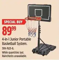 Canadian Tire 4 in 1 junior portable basketball system offer