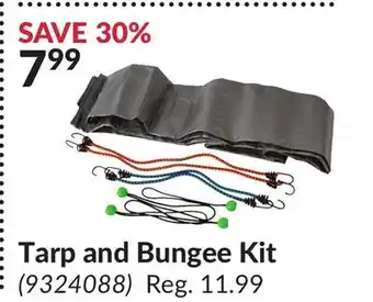 Princess Auto Tarp and Bungee Kit offer