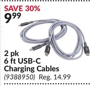 Princess Auto 2 pk 6 ft USB-C Charging Cables offer