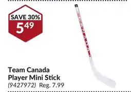 Princess Auto Team Canada Player Mini Stick offer