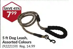 Princess Auto 5 ft Dog Leash, Assorted Colours offer