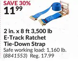 Princess Auto 2 in. x 8 ft3,500 lb E-Track Ratchet Tie-Down Strap offer