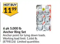 Princess Auto 6 pk 5,000 lb Anchor Ring Set offer
