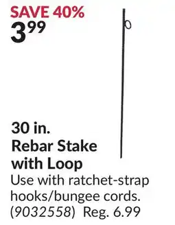 Princess Auto 30 in. Rebar Stake with Loop offer