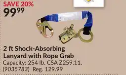Princess Auto 2 ftShock-Absorbing Lanyard with Rope Grab offer