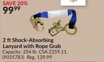 Princess Auto 2 ftShock-Absorbing Lanyard with Rope Grab offer