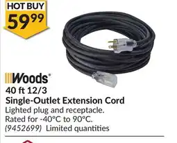 Princess Auto 40 ft12/3 Single-Outlet Extension Cord offer