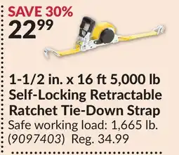 Princess Auto 1-1/2 in. x 16 ft5,000 lb Self-Locking Retractable Ratchet Tie-Down Strap offer