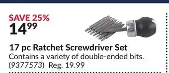 Princess Auto 17 pc Ratchet Screwdriver Set offer