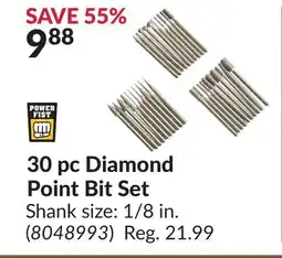 Princess Auto 30 pc Diamond Point Bit Set offer