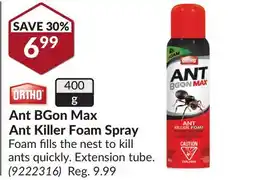 Princess Auto Ant BGon Max Ant Killer Foam Spray offer