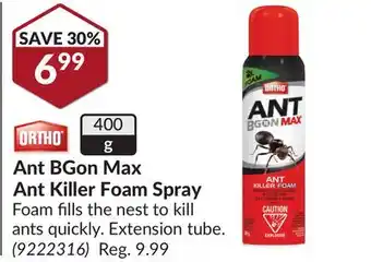 Princess Auto Ant BGon Max Ant Killer Foam Spray offer