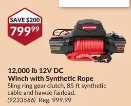 Princess Auto 12,000 lb 12V DC Winch with Synthetic Rope offer