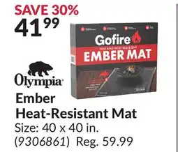 Princess Auto Ember Heat-Resistant Mat offer
