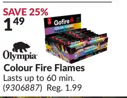 Princess Auto Colour Fire Flames offer