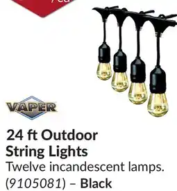 Princess Auto 24 ft Outdoor String Lights offer