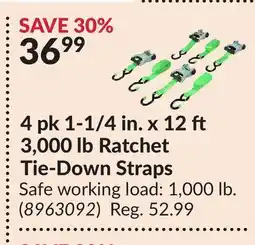 Princess Auto 4 pk 1-1/4 in. x 12 3,000 lb Ratchet Tie-Down Straps offer