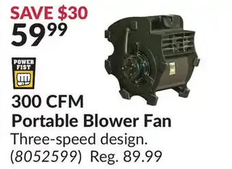 Princess Auto 300 CFM Portable Blower Fan offer