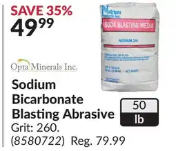 Princess Auto Sodium Bicarbonate Blasting Abrasive offer