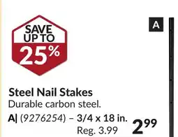 Princess Auto Steel Nail Stakes offer