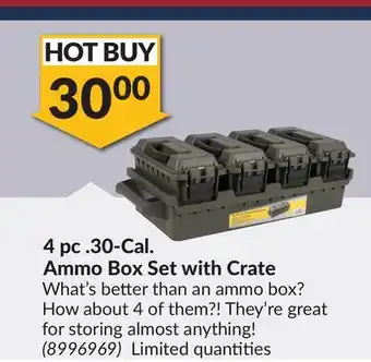 Princess Auto 4 pc .30-Cal. Ammo Box Set with Crate offer