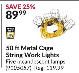 Princess Auto 50 ftMetal Cage String Work Lights offer