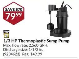 Princess Auto 1/3 HP Thermoplastic Sump Pump offer