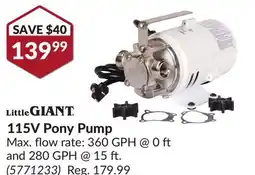 Princess Auto 115V Pony Pump offer