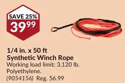 Princess Auto 1/4 in. x 50 Synthetic Winch Rope offer