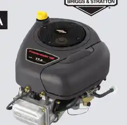 Princess Auto OHV Gas Engines with Electric Start offer