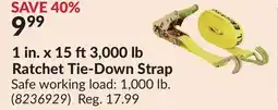 Princess Auto 1 in. x 15 ft3,000 lb Ratchet Tie-Down Strap offer