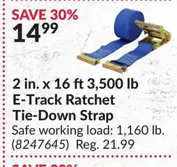 Princess Auto 2 in. x 16 ft3,500 lb E-Track Ratchet Tie-Down Strap offer