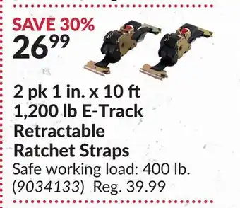 Princess Auto 2 pk 1 in. x 10 1,200 lb E-Track Retractable Ratchet Straps offer