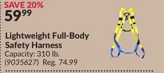 Princess Auto Lightweight Full-Body Safety Harness offer