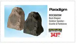 2001 Audio Video ROCK60SM Paradigm Rock-Shaped Outdoor Speaker-Granite & Fieldstone offer