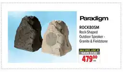 2001 Audio Video ROCK80SM Paradigm Rock-Shaped Outdoor Speaker-Granite & Fieldstone offer