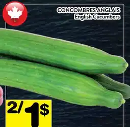 Supermarché PA CONCOMBRES ANGLAIS | English Cucumbers offer