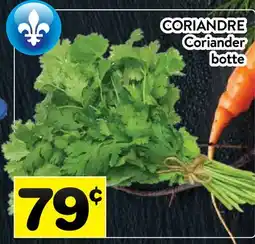 Supermarché PA CORIANDRE | Coriander botte offer