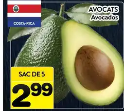 Supermarché PA AVOCATS | Avocados offer