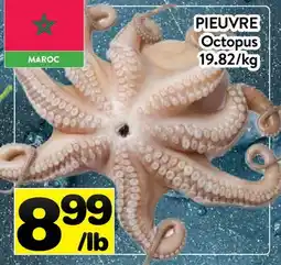 Supermarché PA PIEUVRE | OCTOPUS offer
