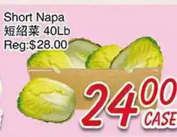 Foody Mart Short Napa offer