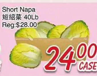 Foody Mart Short Napa offer