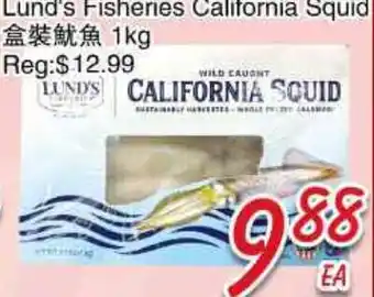 Foody Mart LUND'S FISHERIES CALIFORNIA SQUID offer