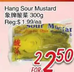 Foody Mart HANG SOUR MUSTARD offer