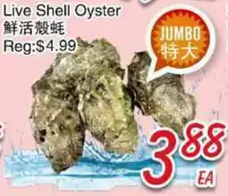 Foody Mart LIVE SHELL OYSTER offer