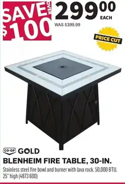 Co-op Blenheim fire table offer